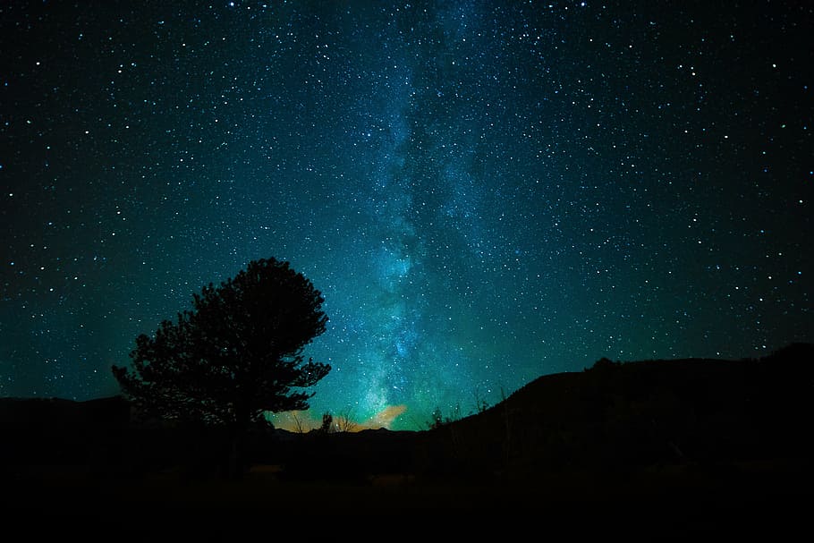 fotografia de silhueta, árvore, noite estrelada, via láctea, galáxia, espaço, universo, astronomia, céu, noite