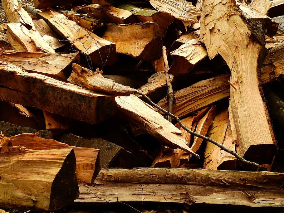 Wood, Log, Firewood, Stock, growing stock, wood - material, full frame, day, close-up, outdoors