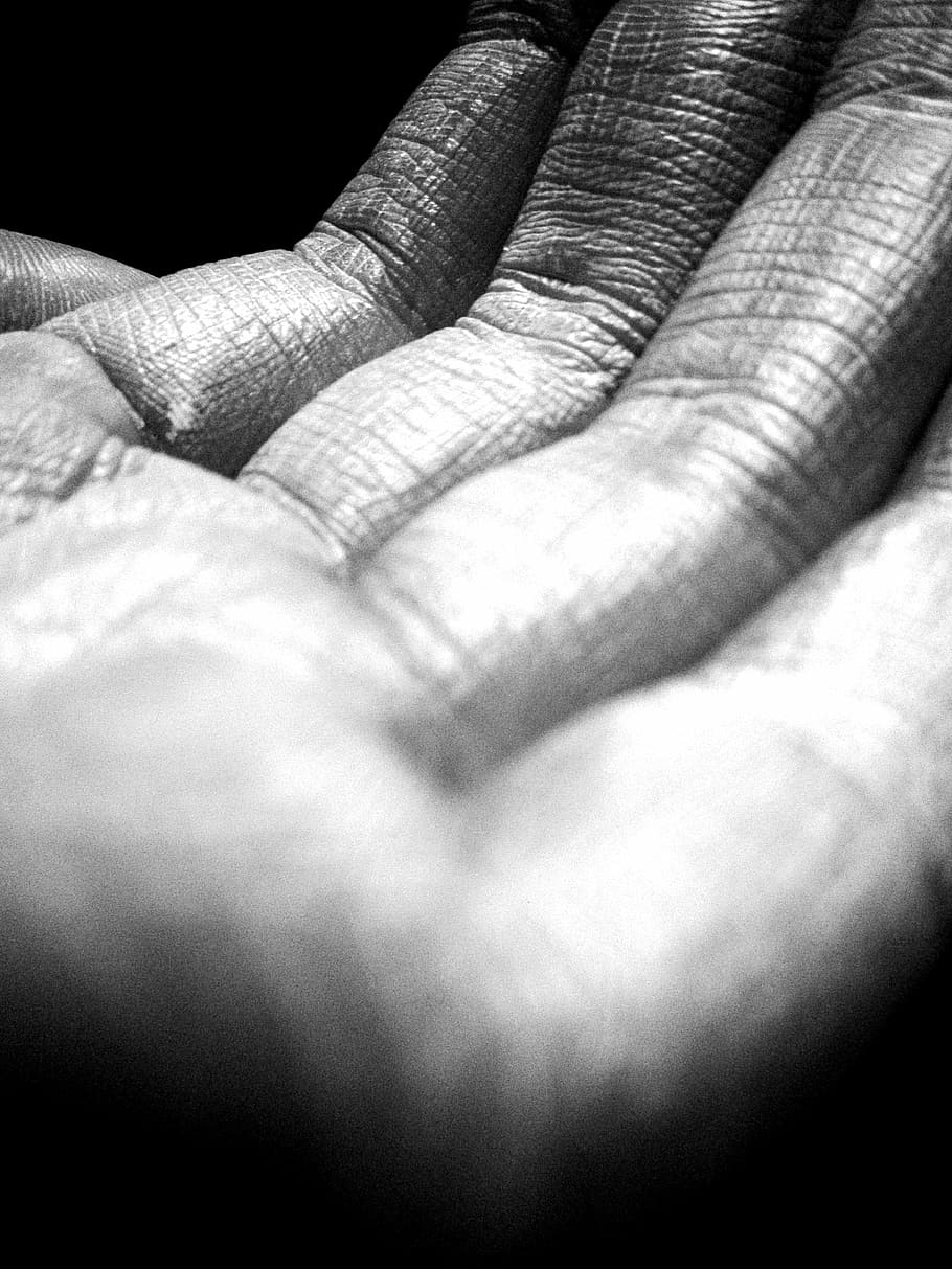 mano, arrugas, líneas, líneas de mano, textura, piel, arrugada, edad, parte del cuerpo humano, mano humana