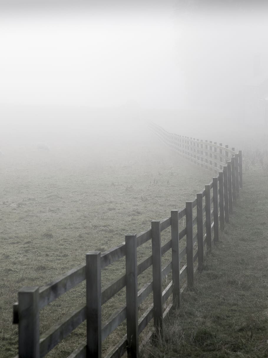 fence, mist, landscape, fog, countryside, abandoned, meadow, grass, scenery, dreary