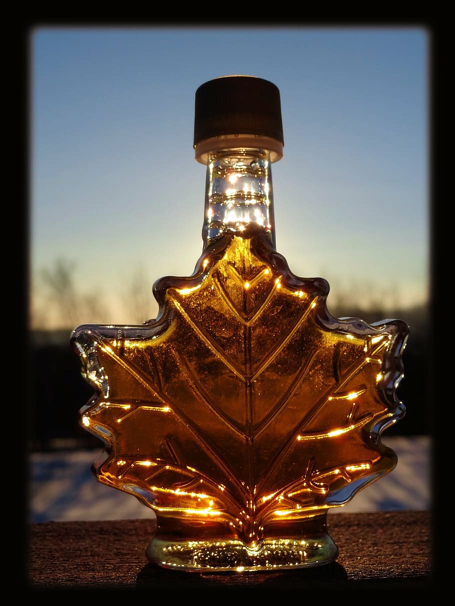 selective, brown, tinted, glass leaf bottle, daytime, maple, syrup, sun, illuminated, representation