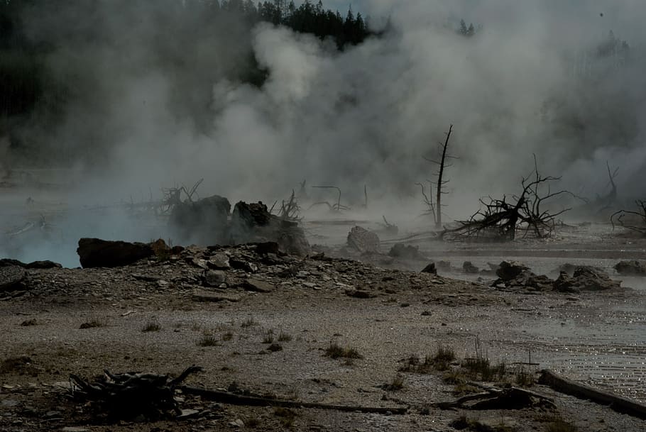 Yellowstone, Hot Springs, Landscape, nature, national, park, steam, geyser, smoke - Physical Structure, heat - Temperature