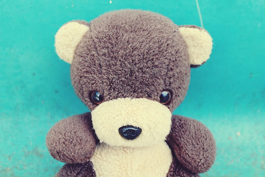 Teddy Bear, Soft Toy, Cute, teddy, bear, toys, bears, stuffed animal, fur, children toys