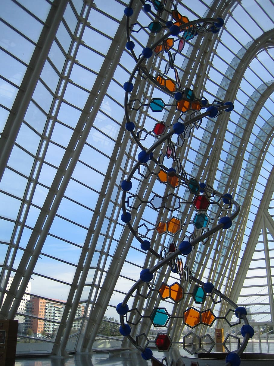 dna structure statue, inside, glass building, dna, structure, low angle view, architecture, day, built structure, indoors