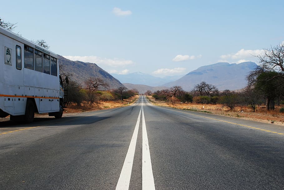 camino de hormigón gris, carretera, áfrica, safari, tanzania, paisaje, ancho, desierto, árboles, transporte