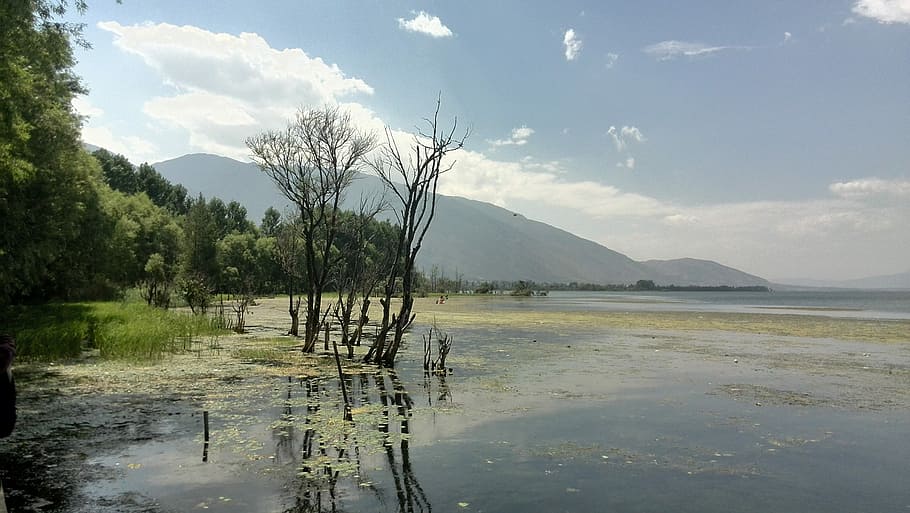 Yunnan Province, Dali, Erhai Lake, in yunnan province, nature, reflection, water, tranquil scene, tranquility, tree