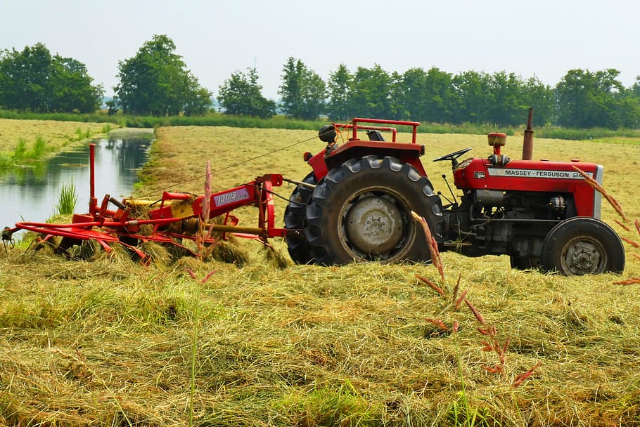 trator, cortar a grama, tempos de grama, secagem, pasto, fazenda, países baixos, polder, paisagem holandesa, soro de leite