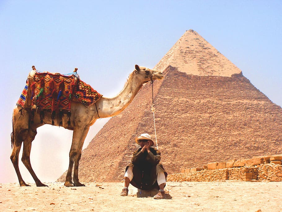 Hombre, sentado, roca, al lado, marrón, camello, pirámide, Egipto, durante el día, paja
