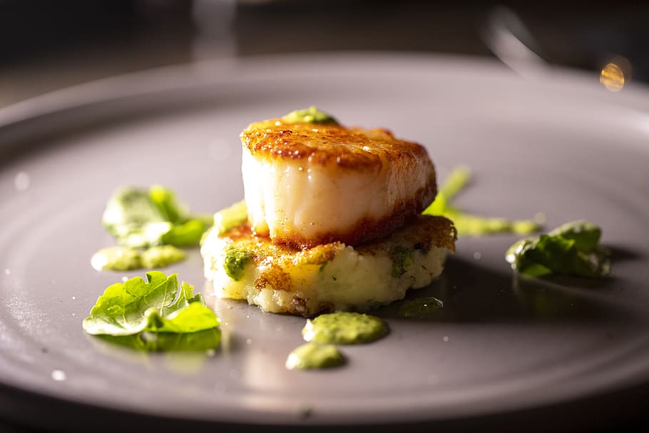 scallops, food, seafood, plate, food and drink, freshness, ready-to-eat, healthy eating, selective focus, close-up