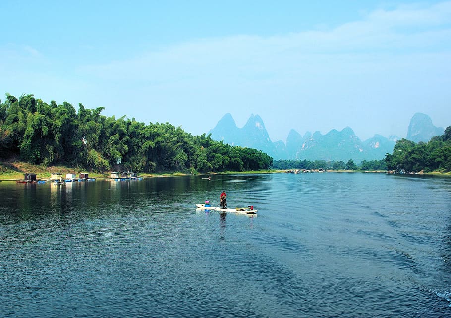 china, li river, landscape, fishing, sugar loaf, cormorant, water, tree, plant, beauty in nature