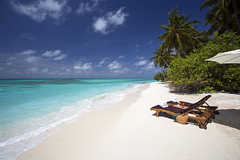 white-sand-beach-ocean-loungers-tropical-royalty-free-thumbnail.jpg