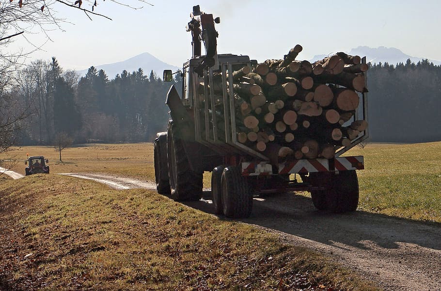 tree logs, tractor, tractors, drive, drives, driving, farm, log trailer, wood, means of transport