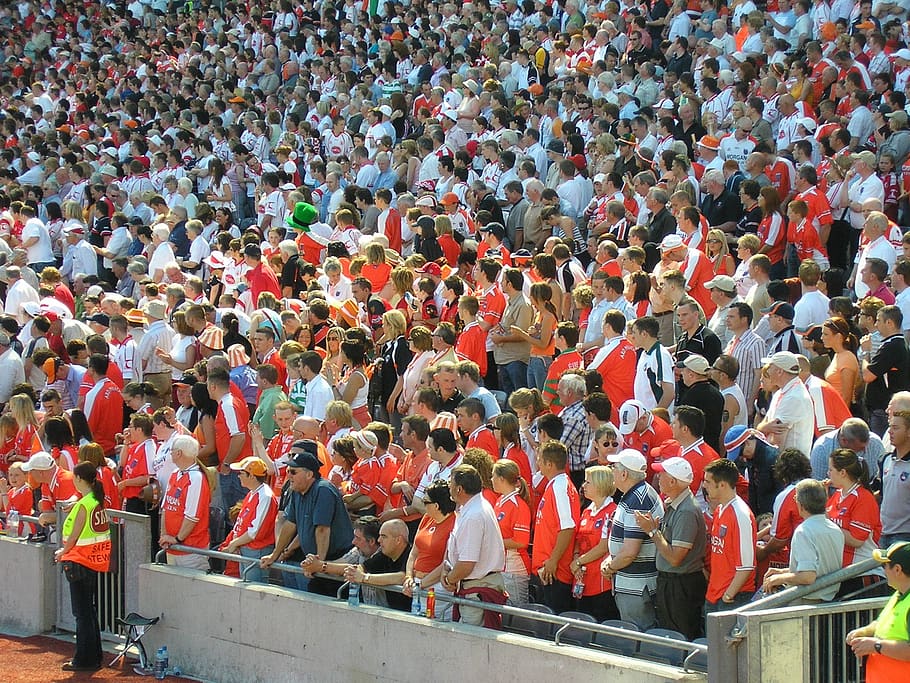 kerumunan, kerumunan orang, penggemar, stadion, orang, pertandingan, permainan, orang banyak, sekelompok orang, sekelompok besar orang