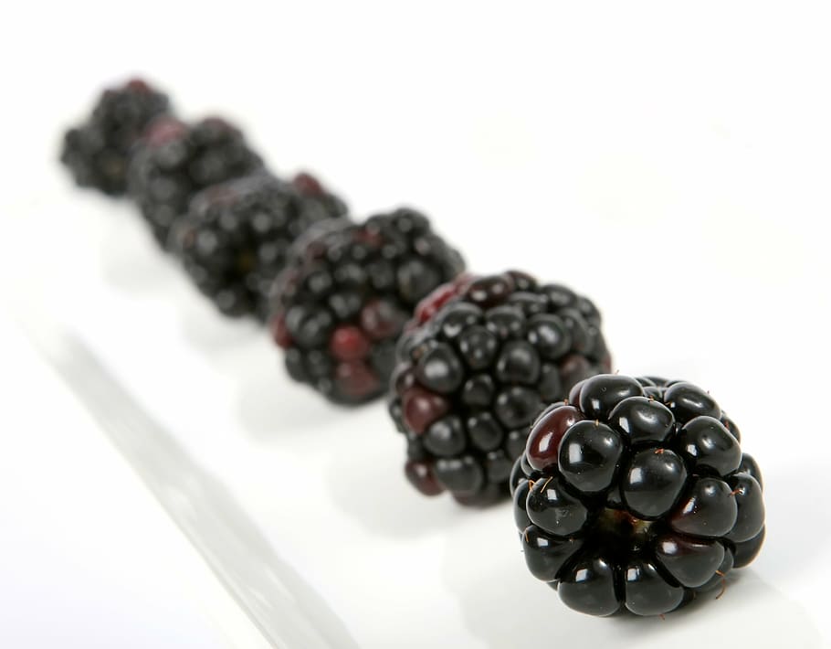 closeup, blackberries, berry, black, blackberry, blueberry, breakfast, color, colorful, colour