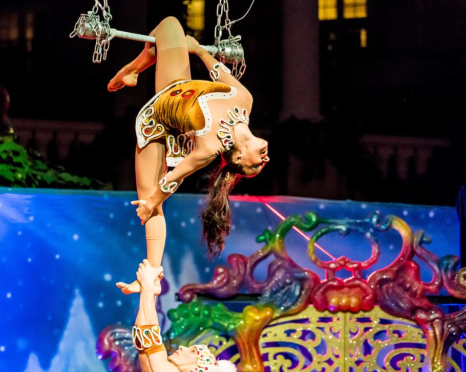 Akrobat, Cirque Du Soleil, pertunjukan natal, telapak tangan gaylord, orlando, florida, trapeze, kostum, pertunjukan, pertunjukan liburan