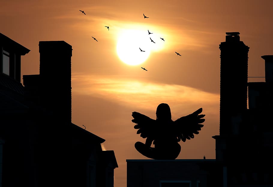 sunset, houses silhouette, angel, mood, birds, sun, evening sun, break, gent, city of angels