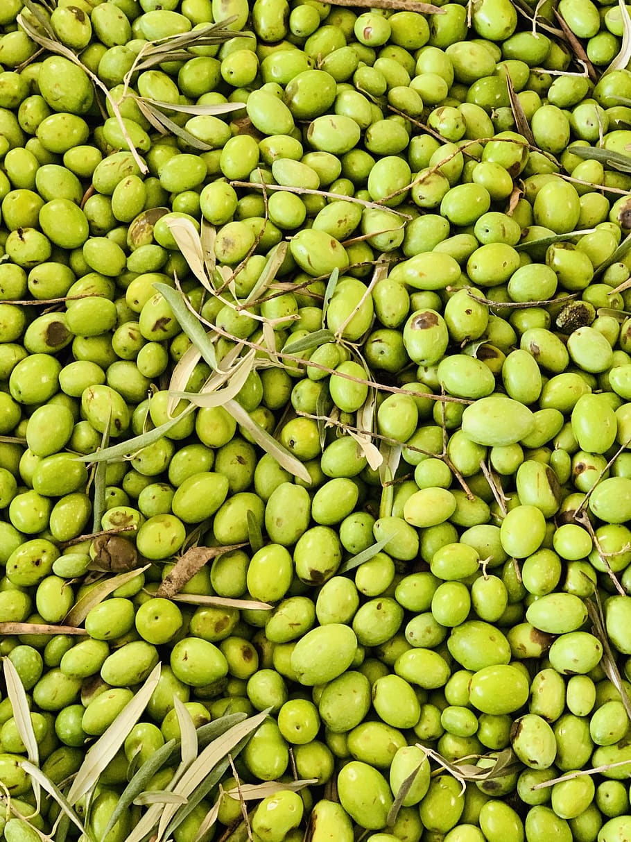 olives, oil, food, oliva, kitchen, sano, green, eat, alimentari, leaves