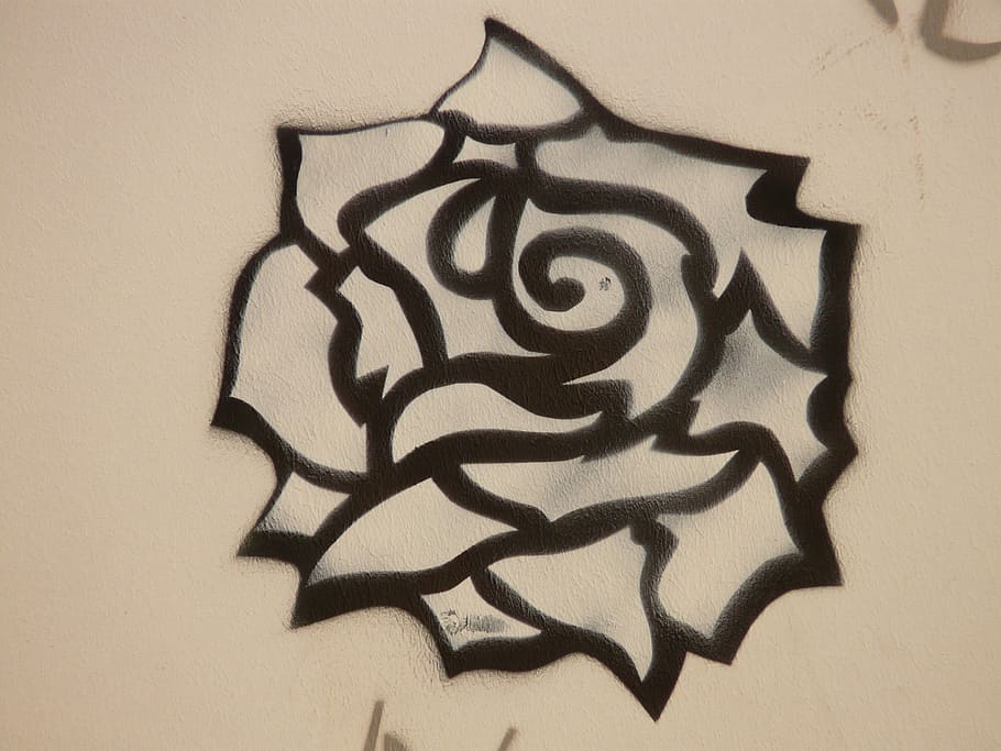 black, rose, close, Drawing, Image, Painting, Animal, graffiti, paint, artwork