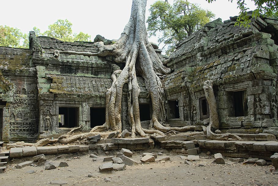 templo de angkor watt, camboja, ta prohm, angkor, wat, turismo, arquitetura, viagens, marco, antiga