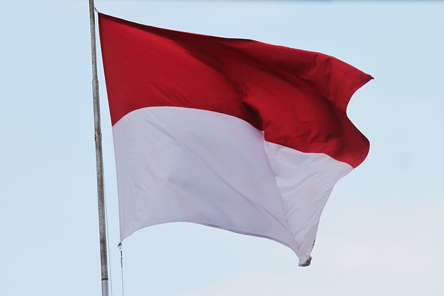 旗, インドネシアの旗, 赤と白の旗, 乱雑, 故郷, インドネシア, プルウォケルト, バニョーマ, 赤, 愛国心