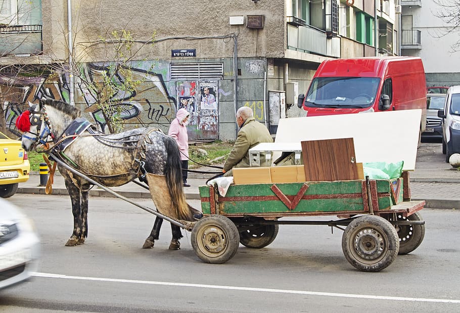 street graphy, wagon, horse, recycling, bulgaria, europe, cart, cityscape, transportation, mode of transportation