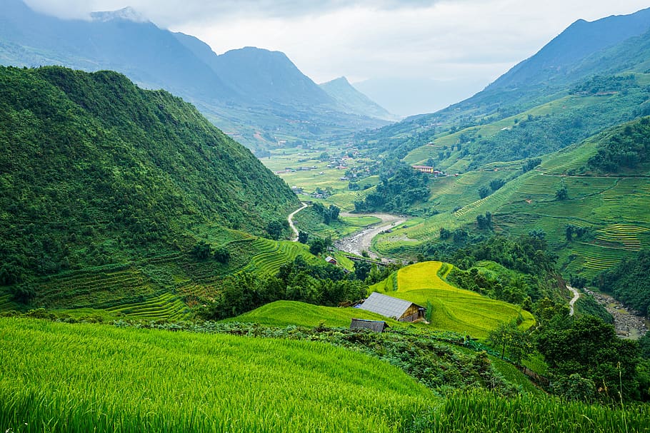 el valle, montañas, residencial, arrozales, arroyo, Scenics - naturaleza, belleza en la naturaleza, paisaje, agricultura, montaña