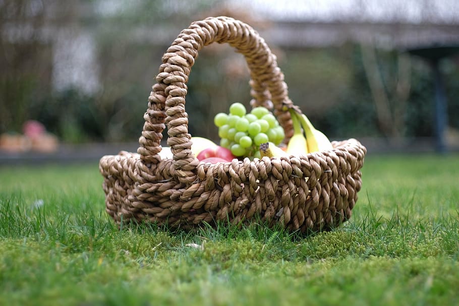 buah-buahan, keranjang, halaman, taman, apel, buah, alami, sehat, alam, piknik