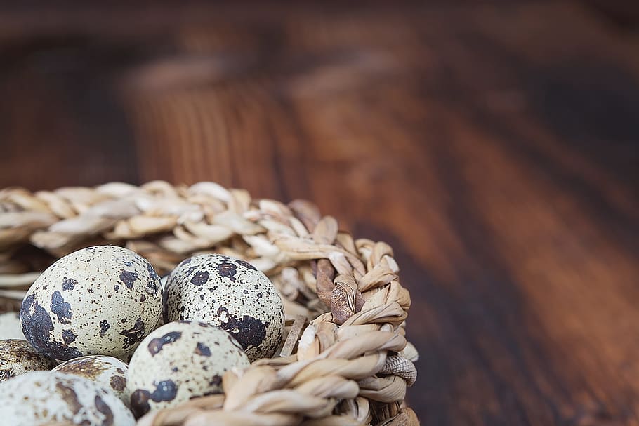 quail eggs, basket, egg, natural product, small eggs, close, text dom, negative space, easter, easter holidays