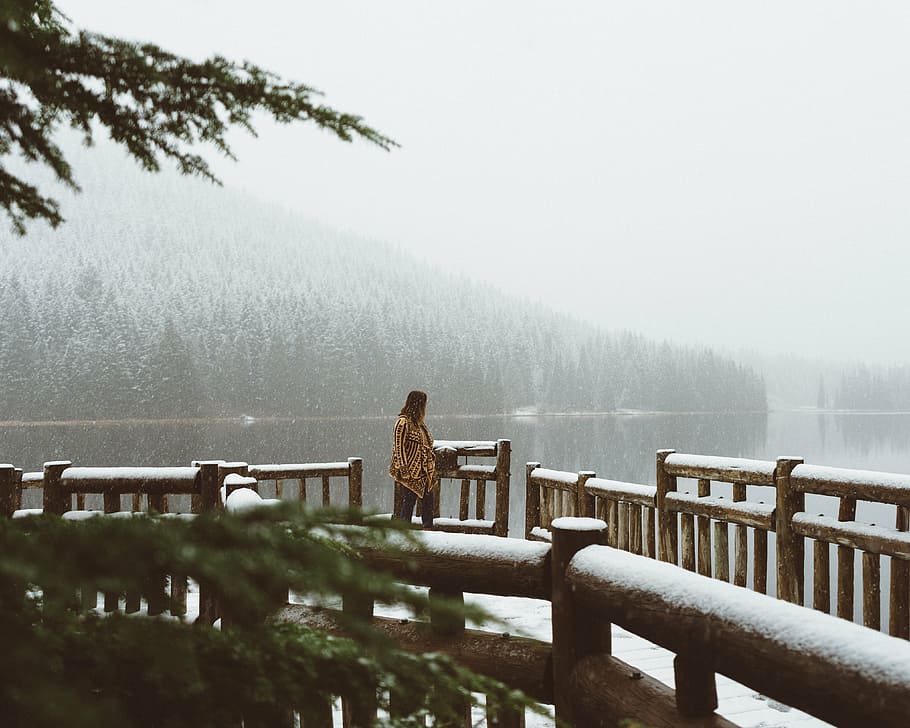 женщина, стоящий, деревянный, мост, рядом, Коричневый, тропы, люди, в одиночестве, озеро