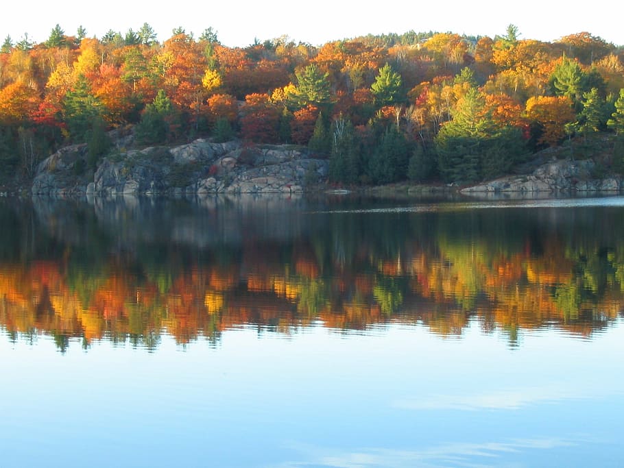 autumn, lake, reflection, fall, colors, canadian shield, granite, calm, landscape, rocky