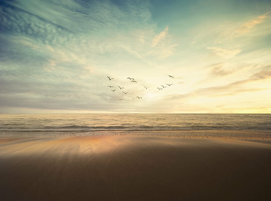 fotografia de silhueta, pássaros, branco, nuvens, azul, céu, mar, oceano, natureza, ondas