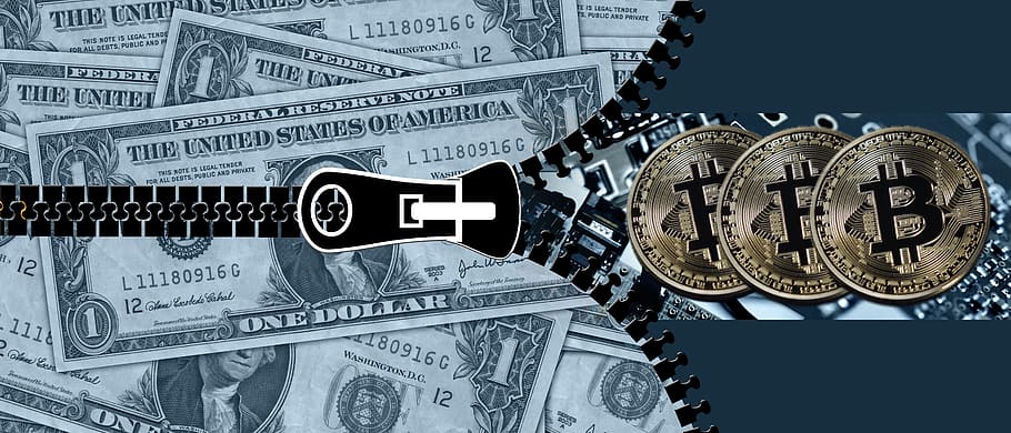 opened, zipper, money, illustration, bitcoin, dollar, coin, electronic money, currency, imitation