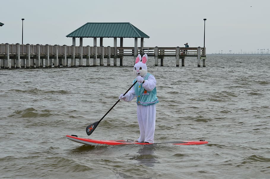 person, wearing, rabbit costume, riding, paddle board, easter, adventure, mammal, bunny, water