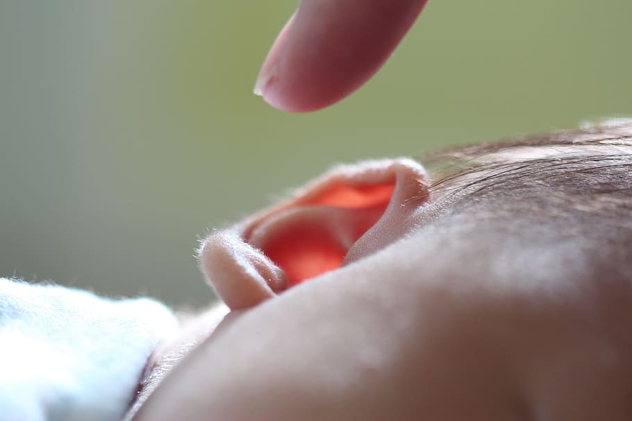 손가락, 유혹, 어린이, 오른쪽 귀, 귀, 귀 엽, 소리, 들리다, 해부, 어린