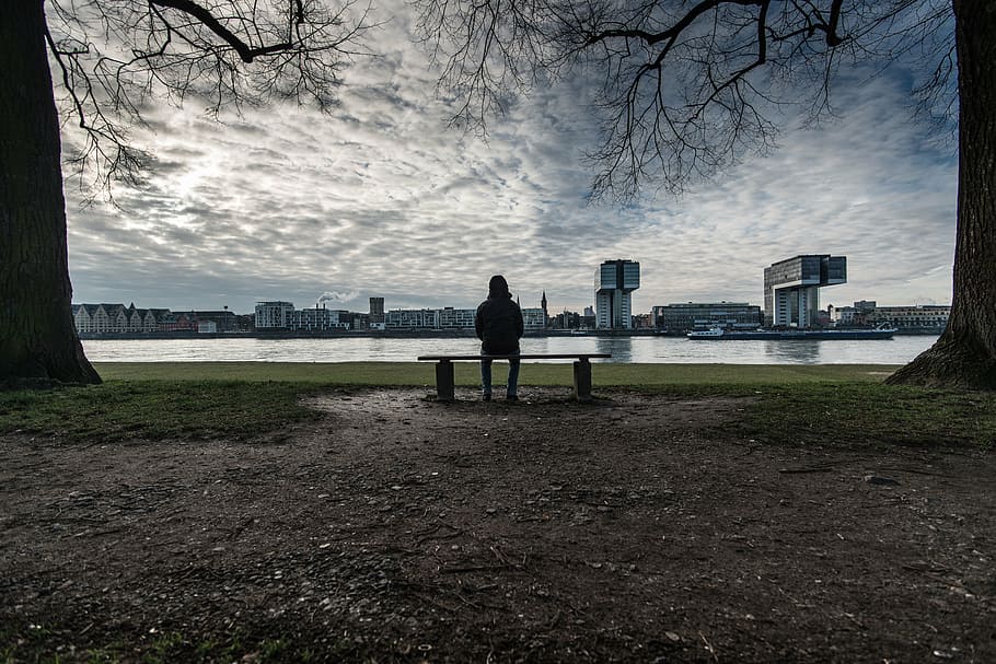 person, sitting, bench, leafless trees, architecture, building, infrastructure, skyscraper, tower, skyline