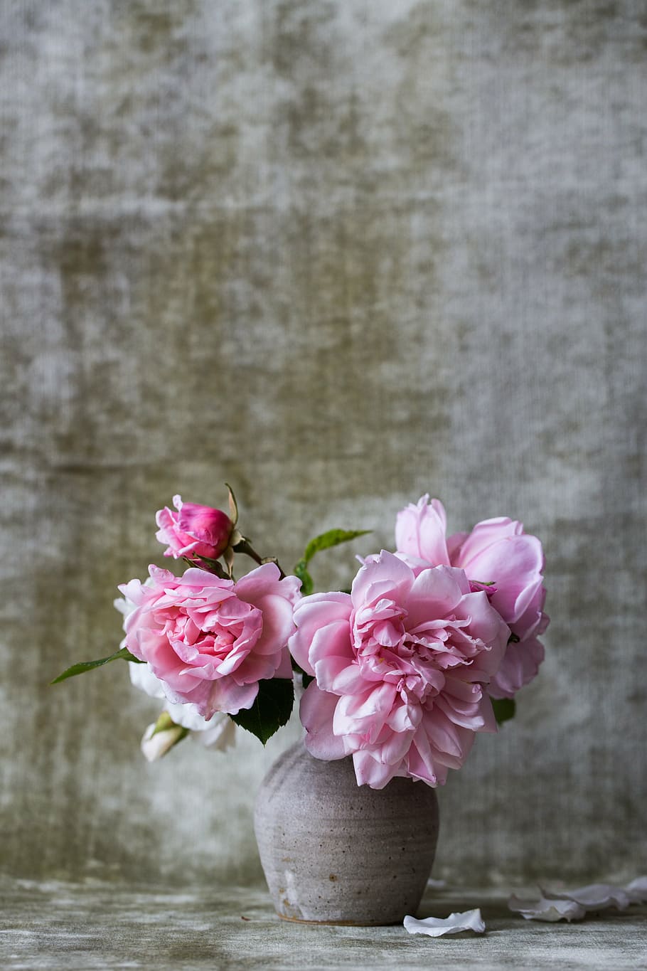 closeup, fotografi, merah muda, bunga-bunga yang dibalut, vas, mawar, ikat, buket, bunga, hadiah