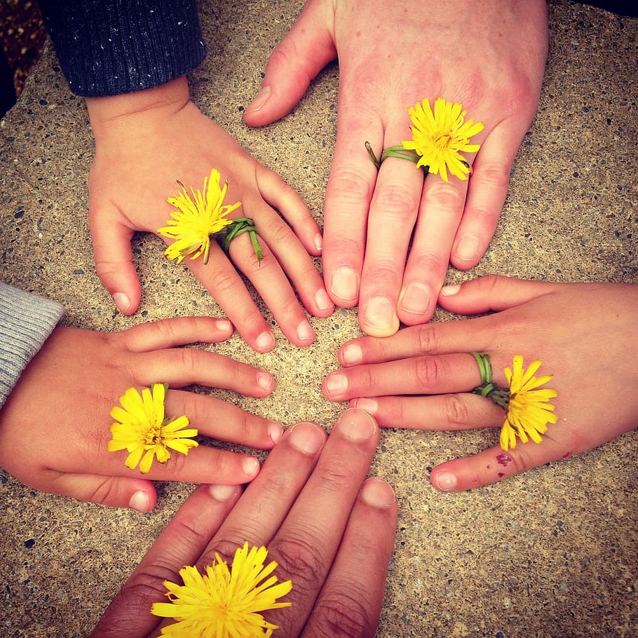 five, yellow, dandelion rings, family hand, outdoors, ireland, family happy, happy children, happy father, joy