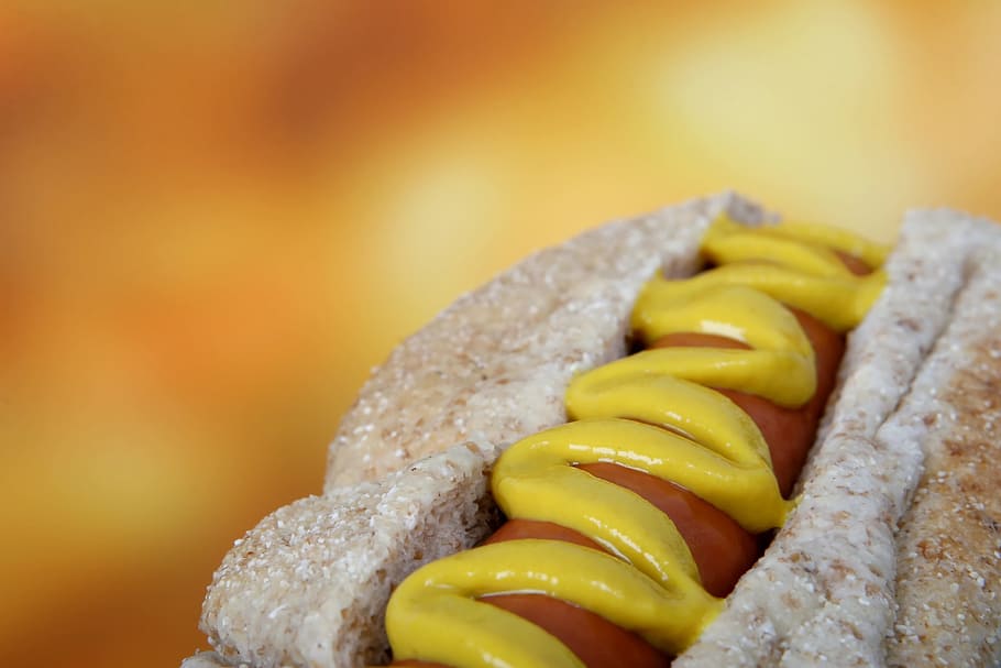 Sándwich de hot dog, hot dog, barbacoa, americano, lejos, fondo, carne de res, pan, marrón, bollo