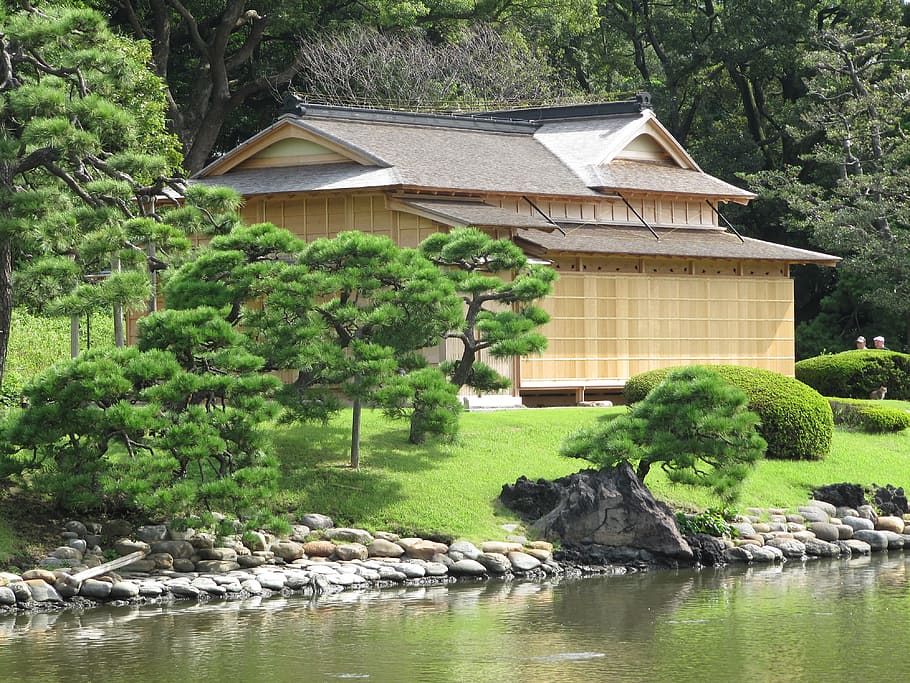 casa al lado del río, japón, casa de té japonesa, edificio, arquitectura, verano, primavera, agua, arroyo, lago