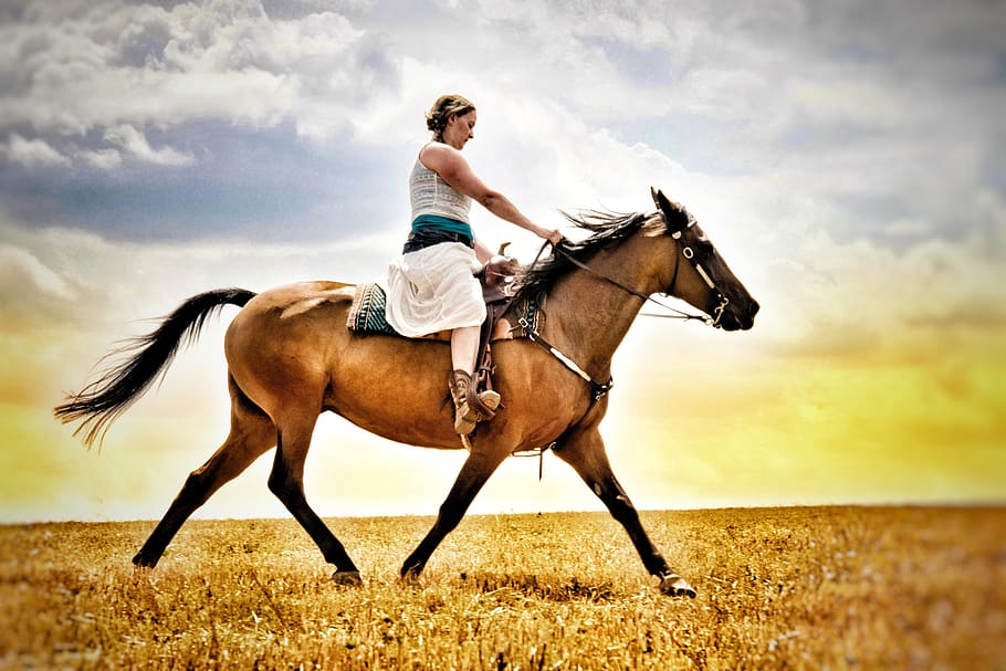 ride, trot, horse, animal, western, woman, reiter, field, clouds, domestic animals