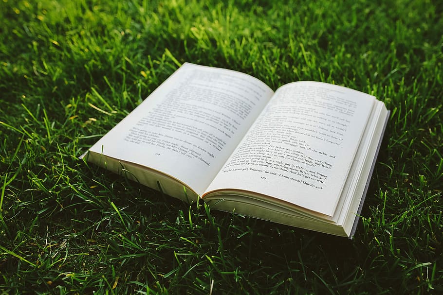 grass, Book, reading, leaf, literature, outdoors, education, bible, religion, nature