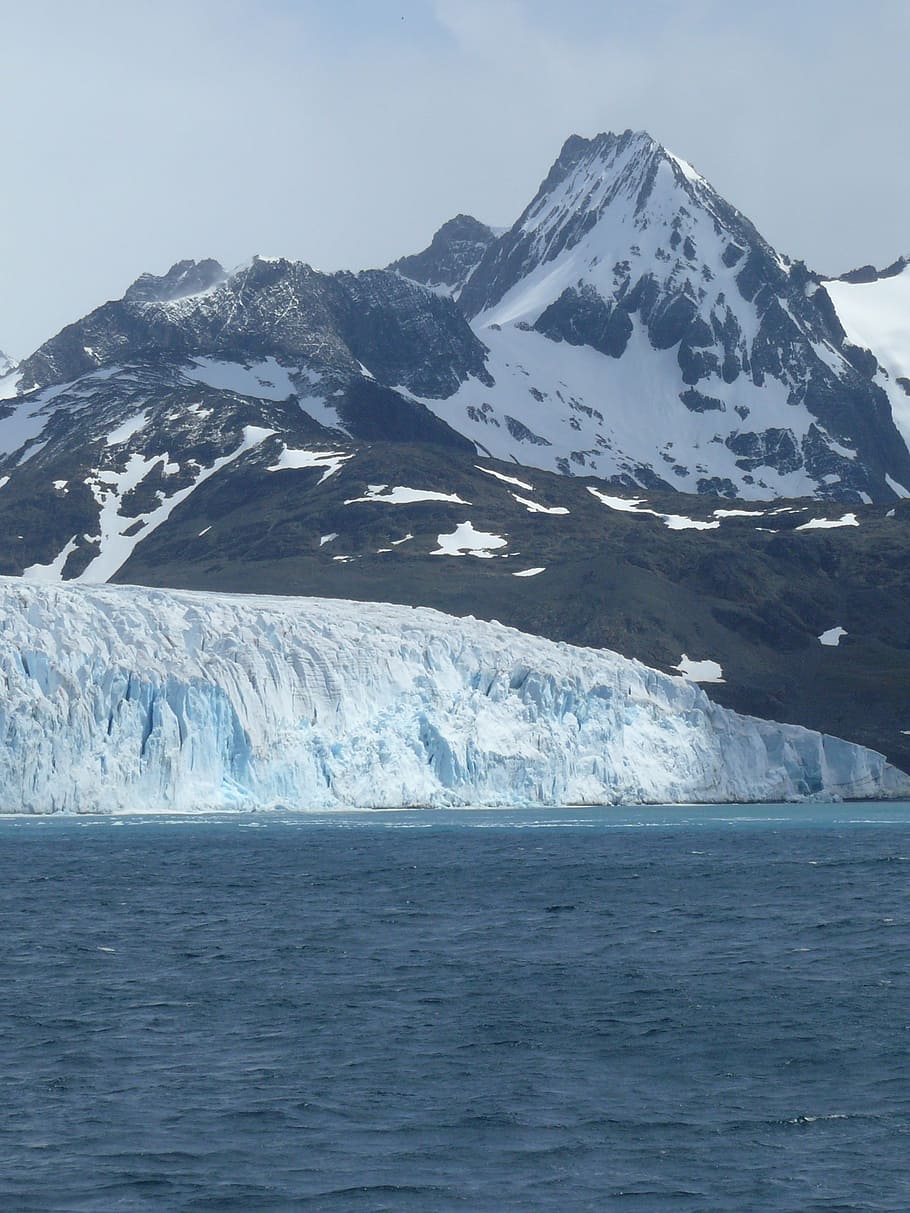 антарктида, южный океан, ледник, южная грузия, лед, гора, холодная температура, сценарии - природа, красота в природе, зима