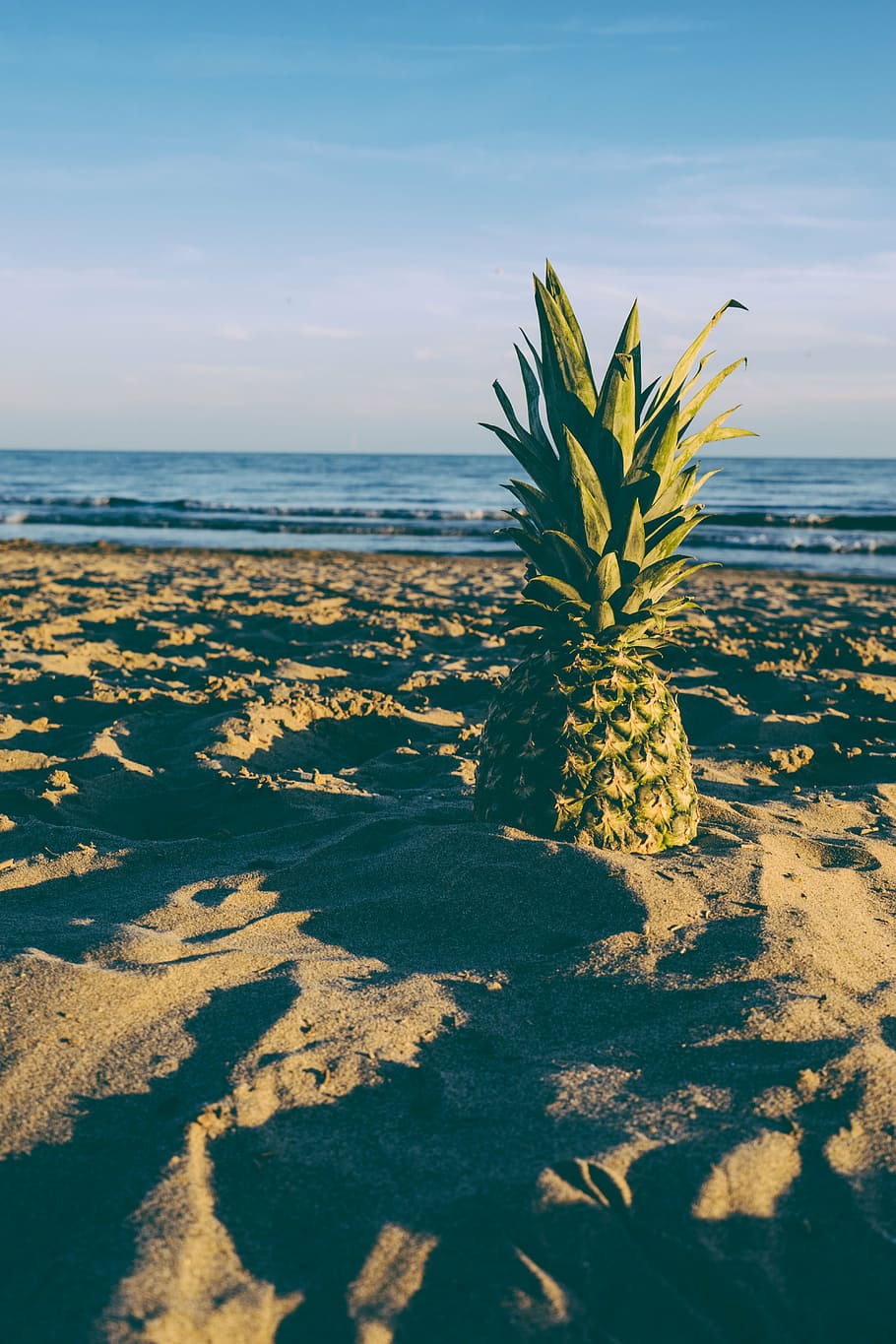 green, pineapple, gray, sand, sea, beach, blue sky, dusk, fruit, horizon