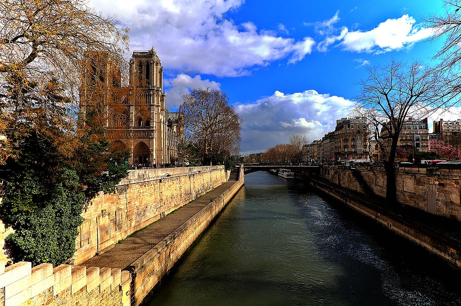 notre dame de paris, paris, france, seine, river, cathedral, architecture, city, catholic, gothic