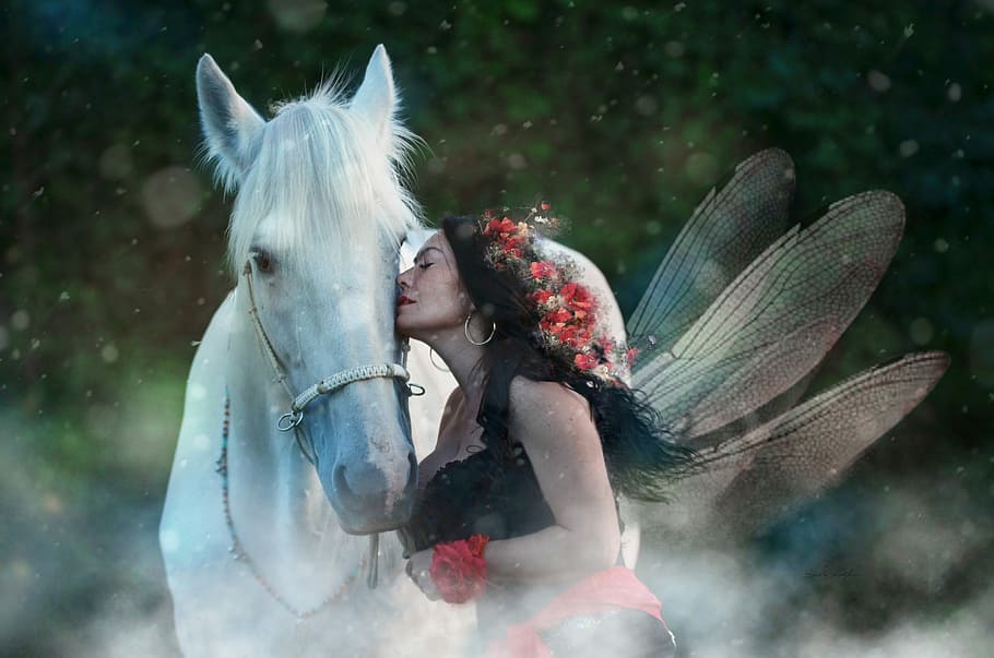 woman, kissing, face, white, horse, nature, animal, portrait, summer, beautiful