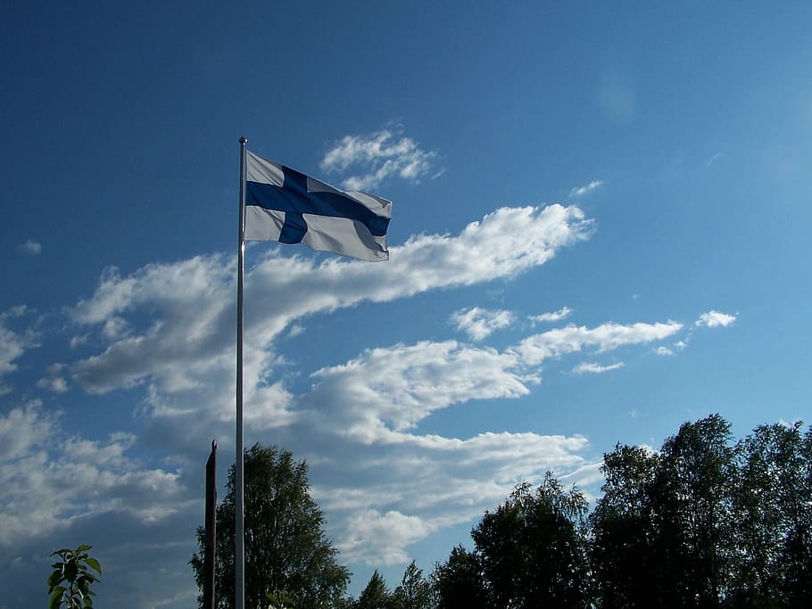Finlandia, Bendera, Oulu, pemandangan sudut rendah, langit, pohon, tidak ada orang, biru, awan - langit, sudut pandang rendah