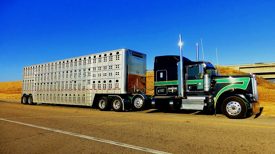 truck, america, trailer, cattle, rest, transport, vehicle, chrome, transportation, mode of transportation