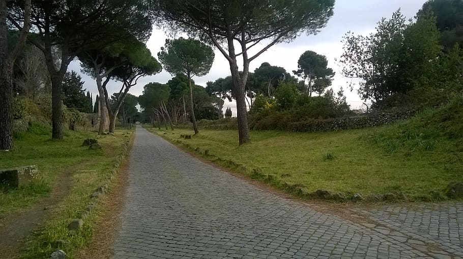 Roma, ruinas, Appia, appia antica, árbol, agua, al aire libre, día, sin gente, charco