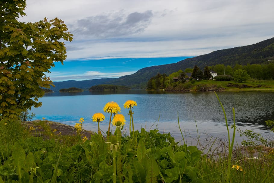 ノルウェー, ビュー, 風景, 自然, 山, 雲, パノラマ, 素晴らしい, 水, 観光