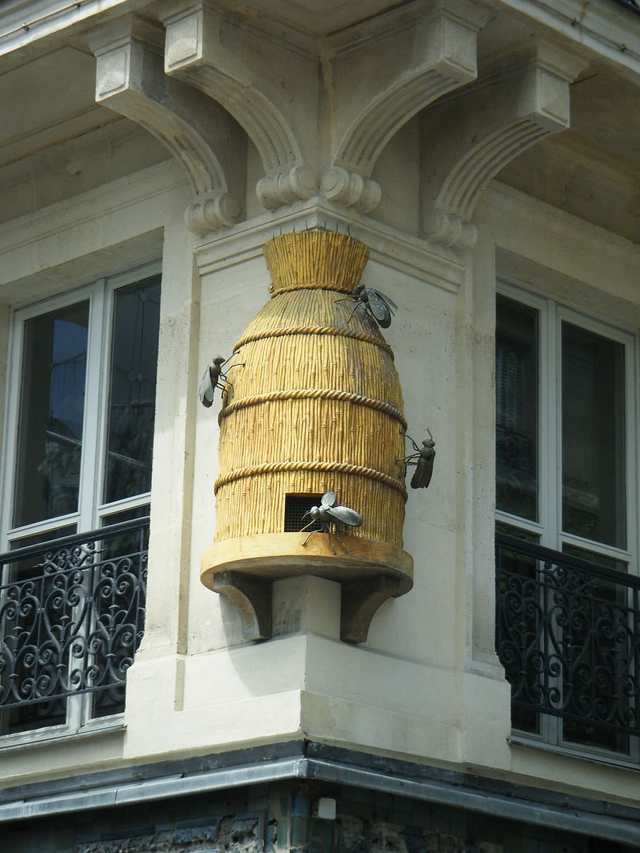 Bees, Honey, Beekeeping, Building, kamienica, sculpture, wall decoration, decorating, ornament, balcony